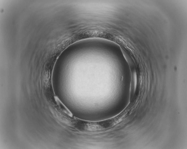 X0000086940605200704161430