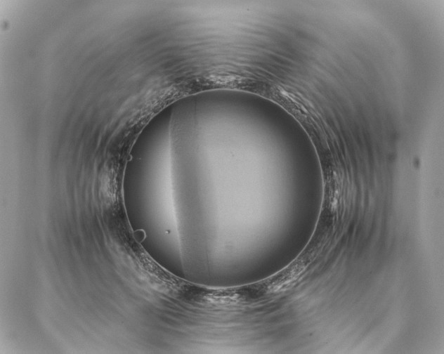 X0000086940606200704161430
