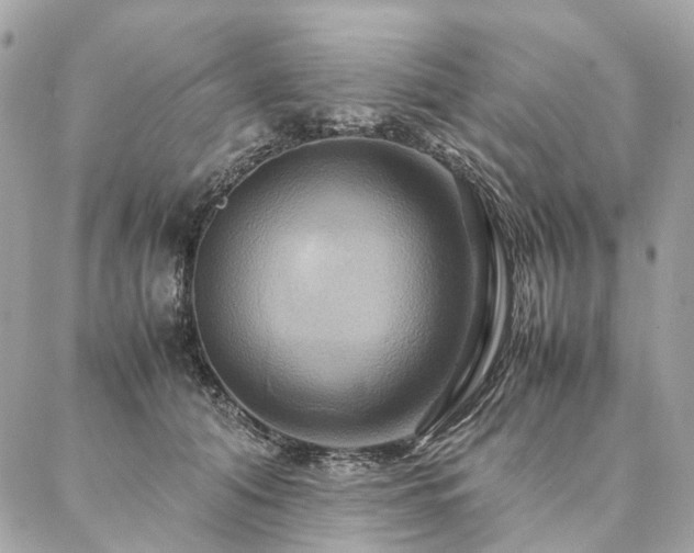 X0000086940608200704161430