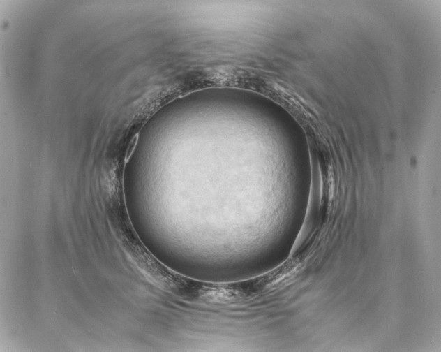 X0000086940611200704161430