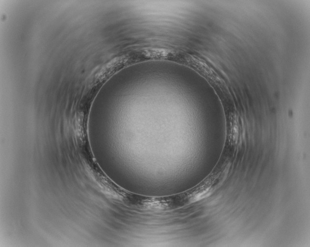 X0000086940616200704161430