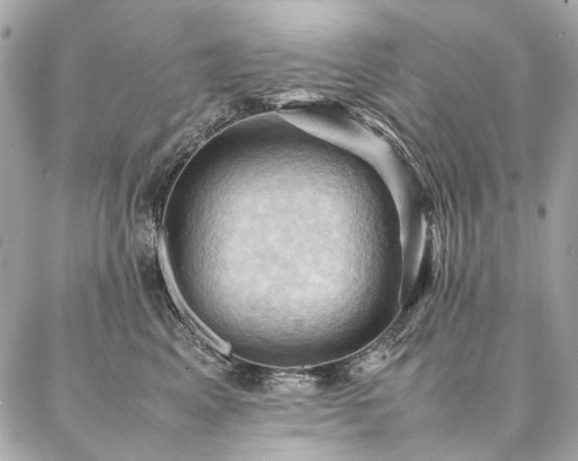 X0000086940617200704161430