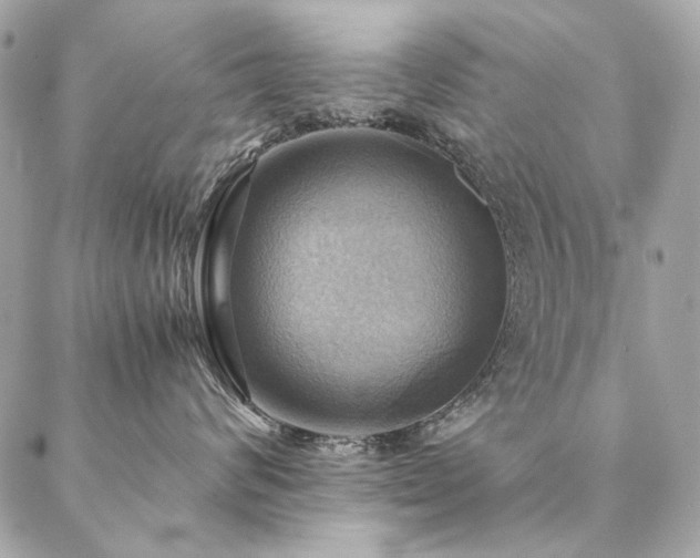 X0000086940624200704161430