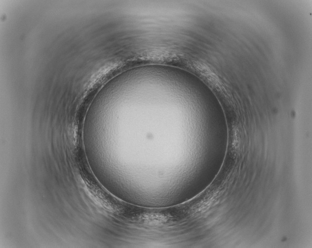 X0000086940636200704161430