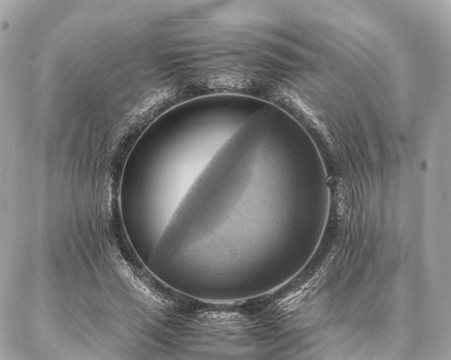 X0000086940637200704161430