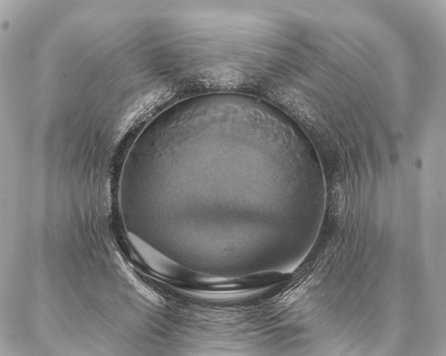 X0000086940638200704161430