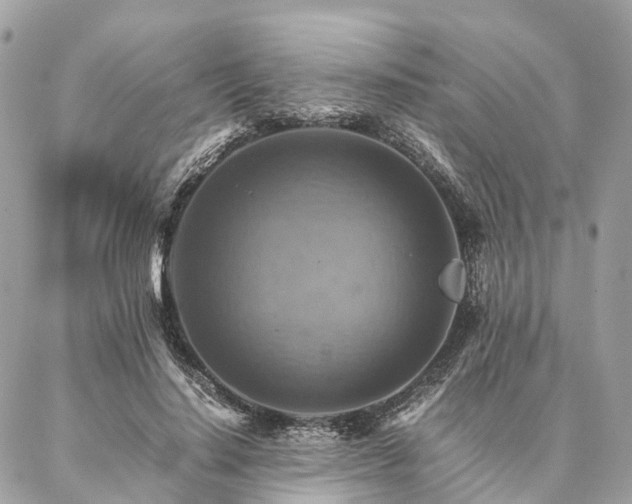 X0000086940644200704161430