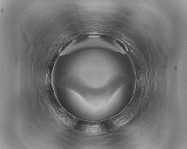 X0000086940651200704161430