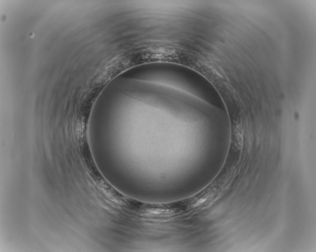 X0000086940657200704161430