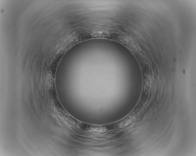 X0000086940659200704161430