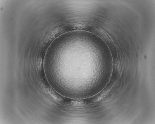 X0000086940660200704161430