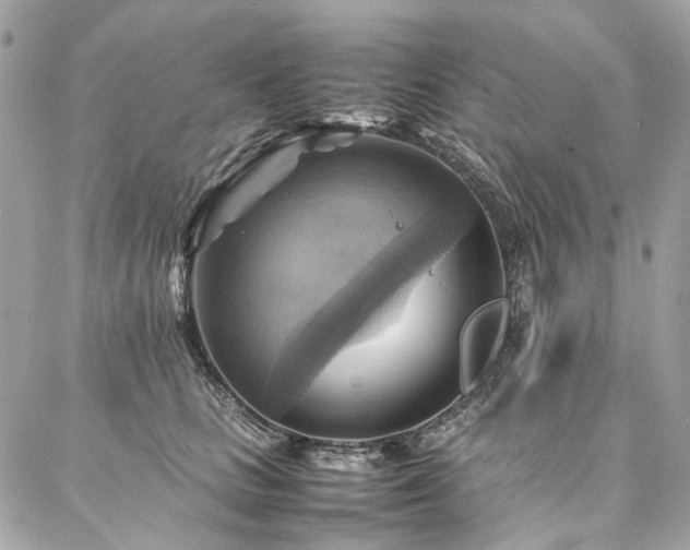 X0000086940661200704161430