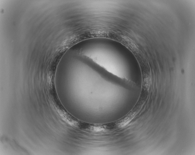 X0000086940662200704161430
