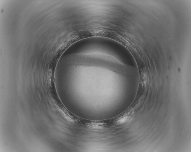 X0000086940664200704161430