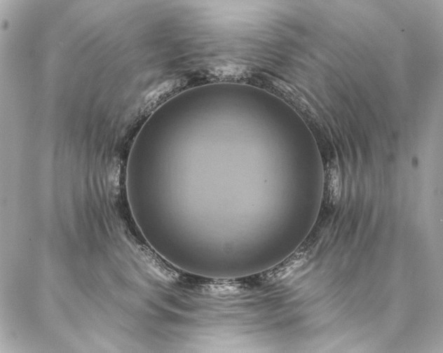 X0000086940668200704161430