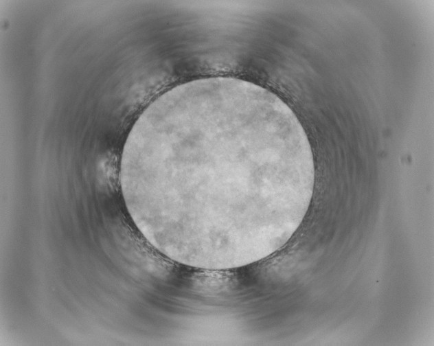X0000086940672200704161430