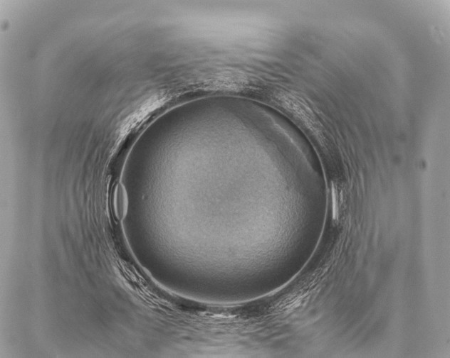 X0000086940675200704161429