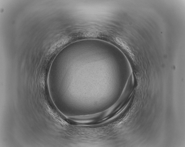 X0000086940681200704161429