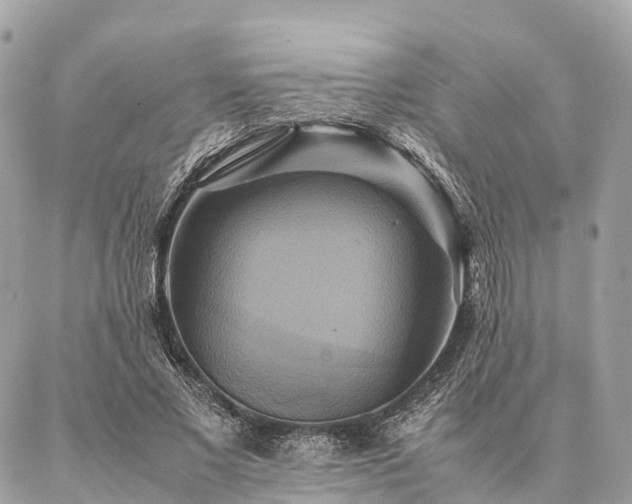 X0000086940685200704161429