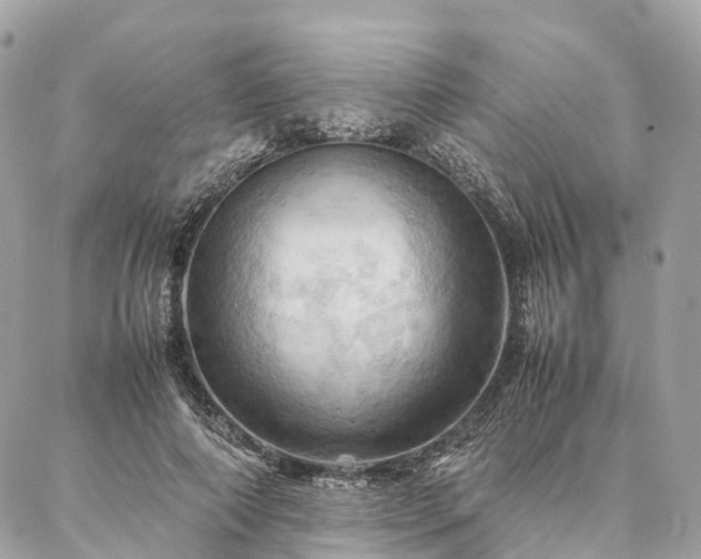 X0000086940690200704161429