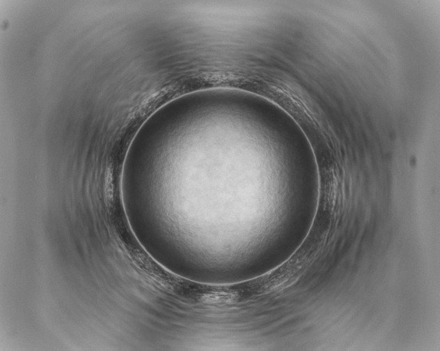 X0000086940700200704161429