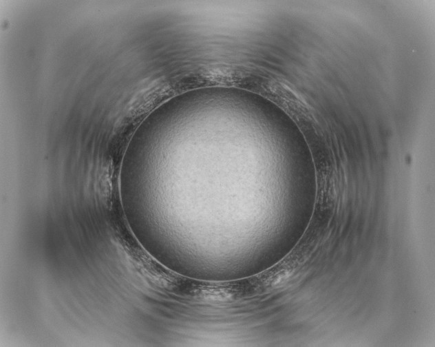 X0000086940702200704161429