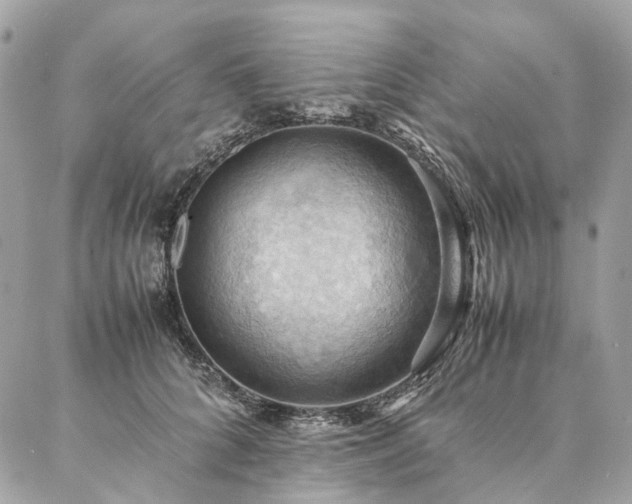 X0000086940704200704161429