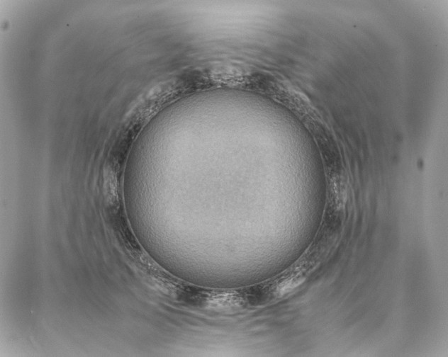 X0000086940705200704161429