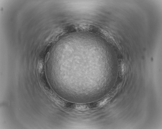 X0000086940709200704161429