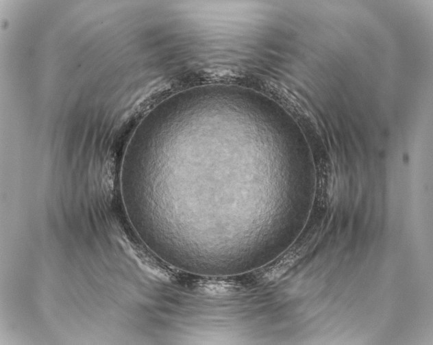 X0000086940710200704161429