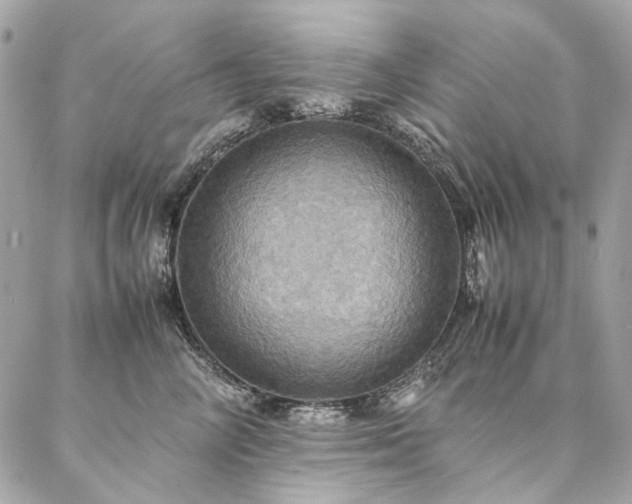 X0000086940714200704161429
