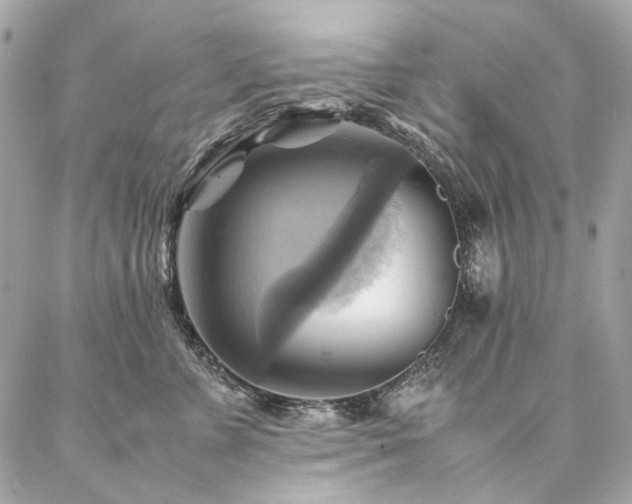X0000086940715200704161429