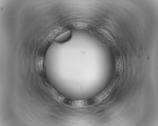 X0000086940717200704161429