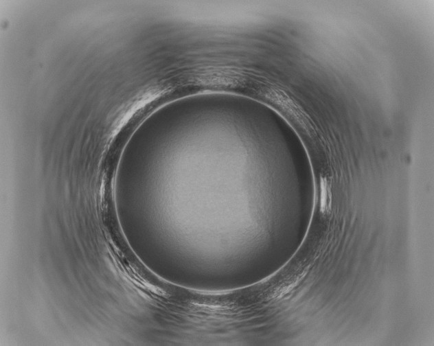 X0000086940723200704161428