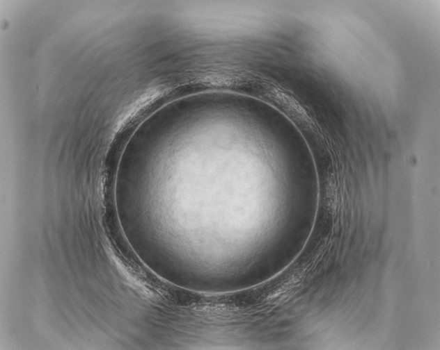 X0000086940730200704161428
