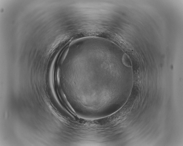 X0000086940742200704161428