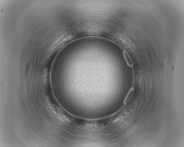 X0000086940744200704161428