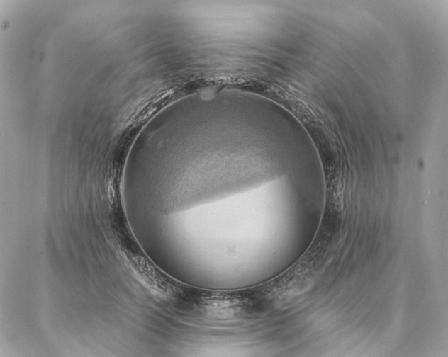 X0000086940746200704161428