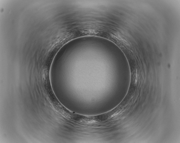 X0000086940747200704161428