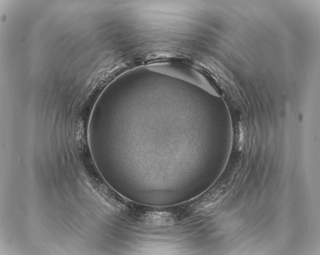 X0000086940748200704161428