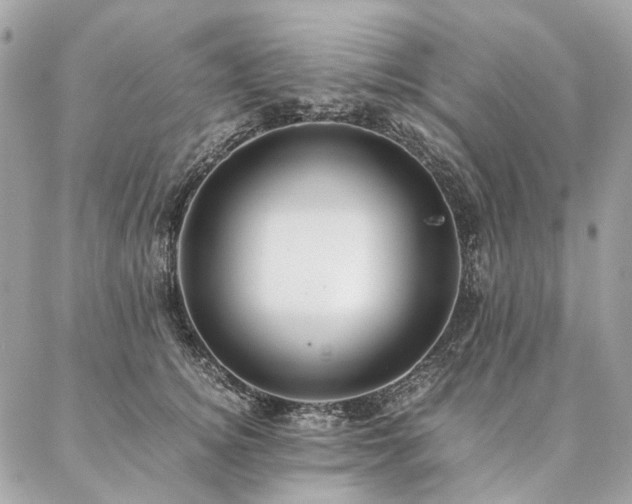 X0000086940756200704161428