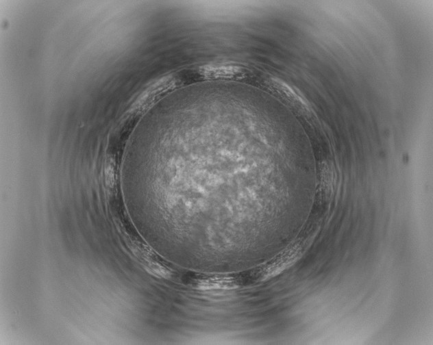 X0000086940761200704161428