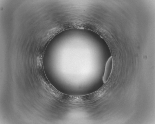 X0000086940768200704161429