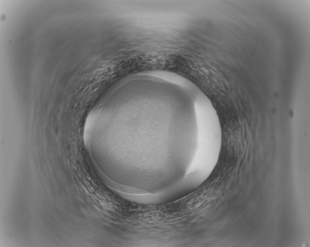 X0000086940769200704161428