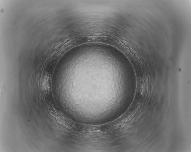 X0000086940770200704161428