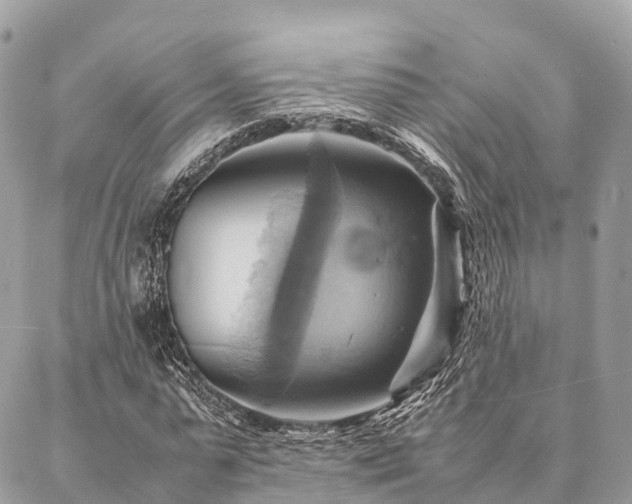 X0000086940775200704161428