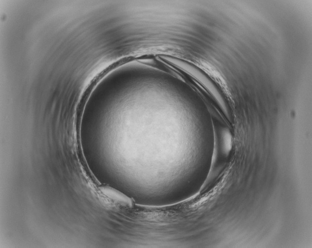 X0000086940792200704161427
