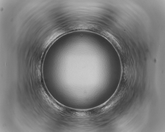 X0000086940794200704161427