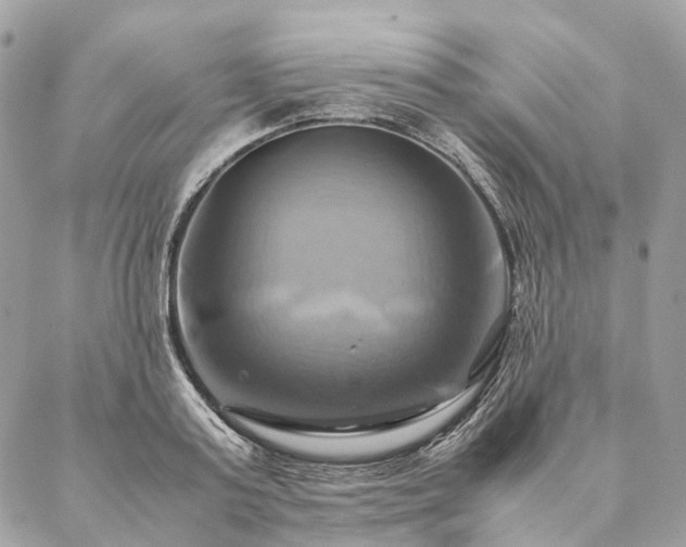 X0000086940795200704161427