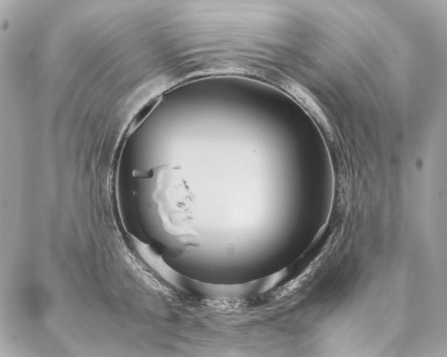 X0000086940805200704161427